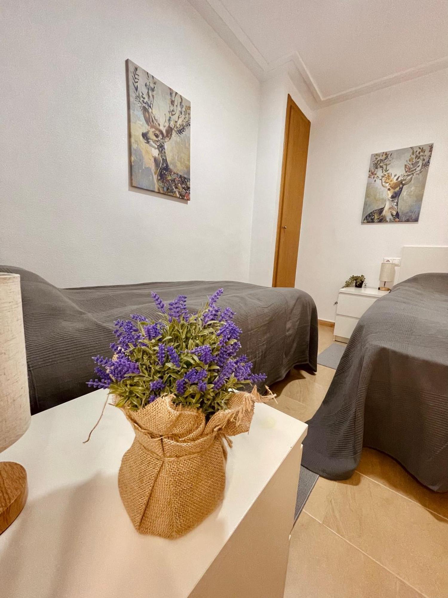 Piso Muy Cerca De La Playa Con Parking Apartment Santa Pola Ngoại thất bức ảnh